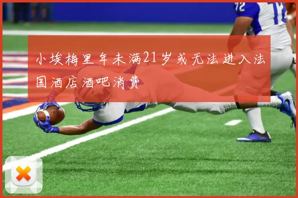 小埃梅里年未满21岁或无法进入法国酒店酒吧消费
